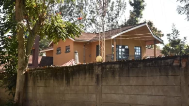 Court Orders Eviction as State Reclaims Ksh.35 Million Bungoma Land from Senior Banker