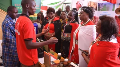 Students Showcase Traditional Medicine at Maa Cultural Event in Kajiado