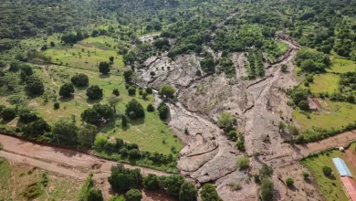 Chesongoch Landslide: Families Join Search as 10 Remain Missing