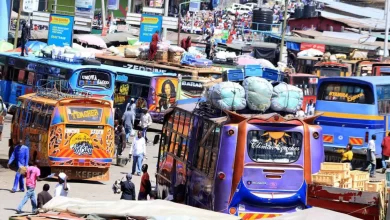 The Village Rush: Kenyans Flock to Secure Christmas Travel Tickets
