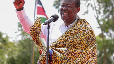 Failed UDA Aspirants from Malava Awarded Diplomatic Posts in Uganda and South Africa