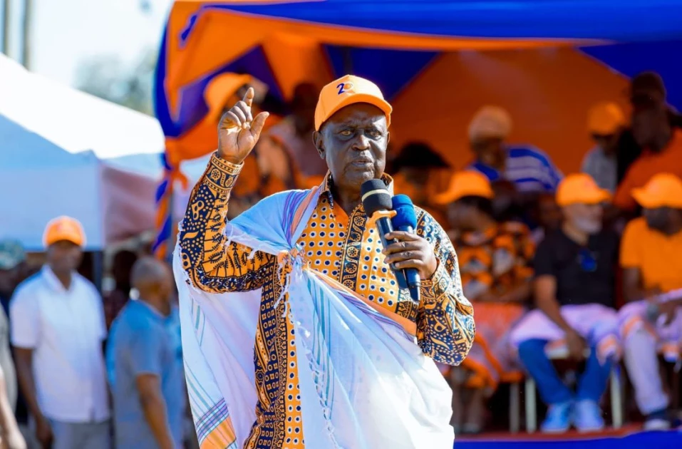 ODM Ratifies Oburu Oginga as New Party Leader