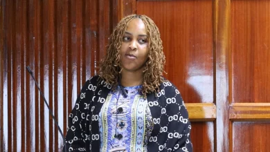 Scrap Metal Dealer Defends Legitimacy of Seized Energy Equipment in Court