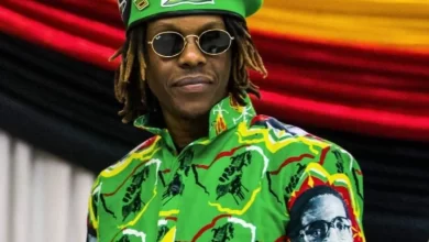 Robert Mugabe Jr. Fined and Given Suspended Sentence for Marijuana Possession