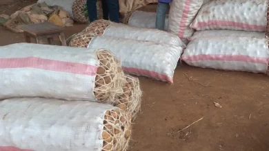 Mother Arrested in Nakuru for Injuring Child Over Potatoes