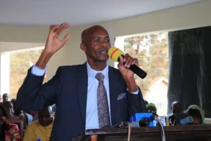 Embu Senator Mundigi Rejects Democratic Party Summons over Mbeere North Poll Allegations