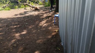 Wakazi wa Kilifi Wamwomba Ruto Kuhamisha Mradi wa Nyumba Nafuu kutoka Hifadhi ya Umma ya Watamu