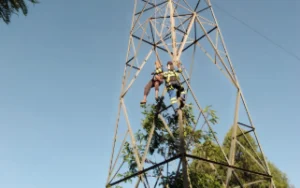 Young Woman Rescued After Scaling High-Voltage Pylon in Suspected Suicide Attempt