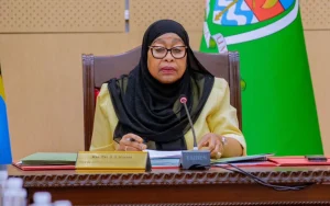 UK, Canada, and 14 EU States Demand Independent Probe into Tanzania Election Violence