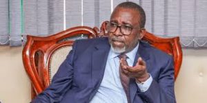 Linturi Rubbishes Claims of Mt Kenya East Political Split