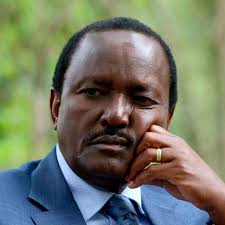 Rift Valley Lawmakers Demand Kalonzo Musyoka Records Statement with DCI Over Ogolla’s Death Remarks