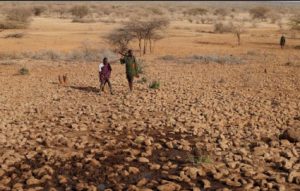 Kenya Grapples With Worsening Drought as Food-Producing Regions Record Heavy Losses