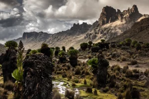 Mystery Surrounds Disappearance of Veteran Tour Guide on Mt Kenya Hike