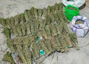 Suspect Flees as Police Seize Suspected Drugs in Machakos