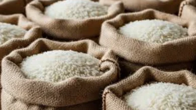 Gov’t Sets Aside Ksh.200 Million to Buy Rice from Farmers Through SACCOs