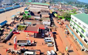 Bungoma County Queried by Senate Over Sh3.6 Million Christmas Tree Spend