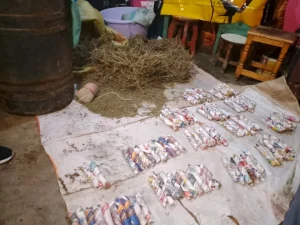 National Authority for the Campaign Against Alcohol and Drug Abuse Arrests Suspected Campus Drug Supplier in Nakuru Night Raid