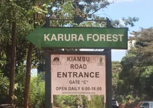 Section of Karura Forest Cleared for Tree Nursery and NYS Housing, Says CS Barasa