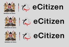 e-citizen