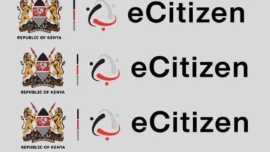 e-citizen