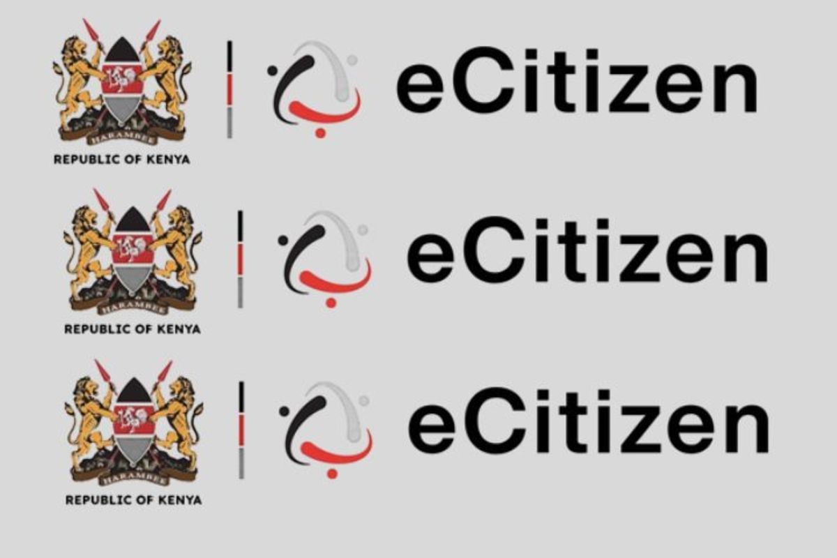 e-citizen