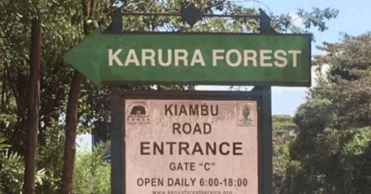 Karura